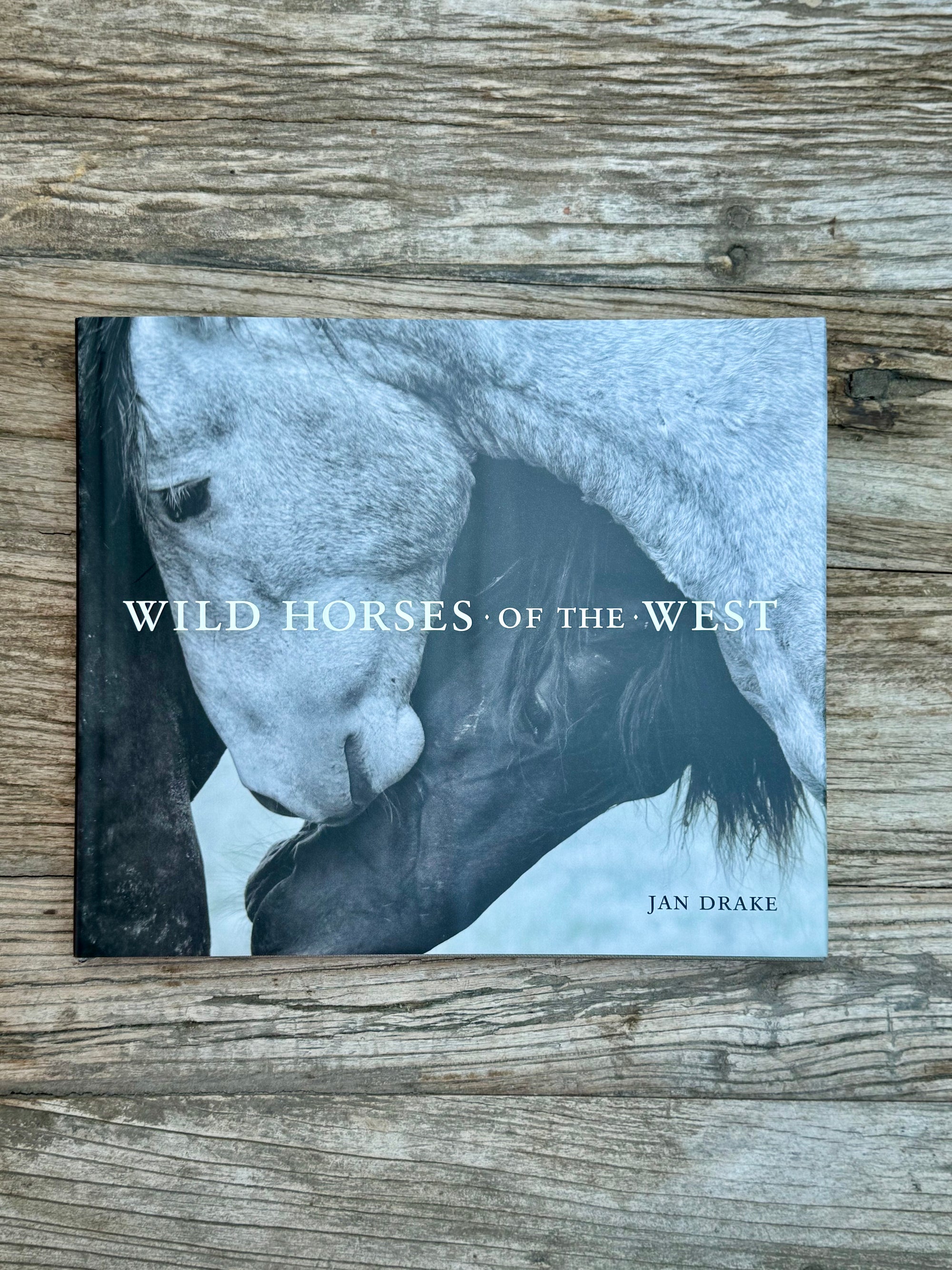 Wild Horses of the West